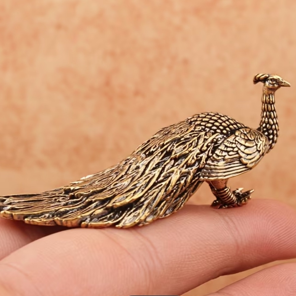 The quiet Peacock